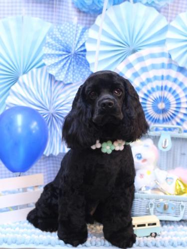 20231124そらくん